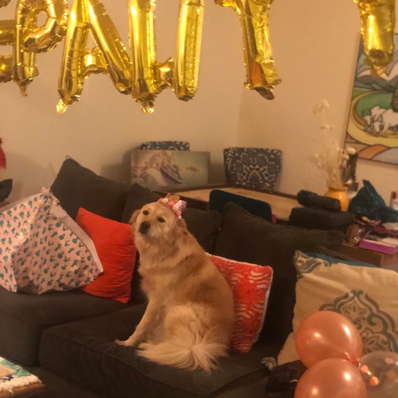 Meet your Posher, Mona - Picture 1 of 1